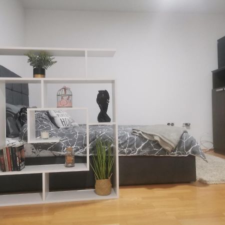 Amabilis Διαμέρισμα Μπάνια Λούκα Εξωτερικό φωτογραφία